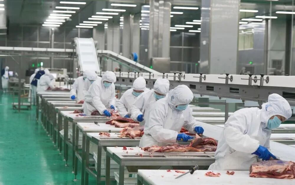 新年開好局！河南新城三大項目齊發力，凈化科技繪就生態新畫卷